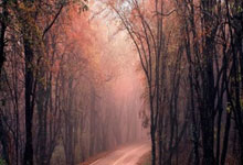 关于转会期奥兰多魔术备战英超，防线松动细节曝光，气氛紧张，训练强度明显提升的信息-九游电竞官网