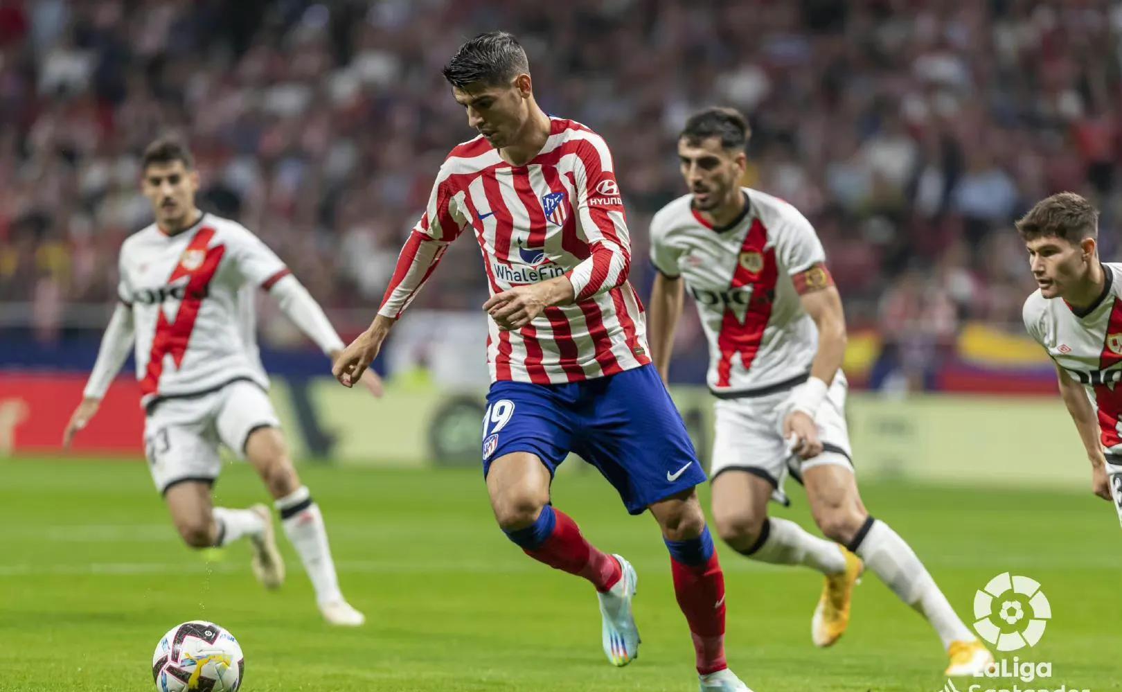 关键时刻菲尼克斯太阳状态回暖:亚冠节点到来,更衣室稳定,资深球员宣示担当 关键时刻菲尼克斯太阳状态回暖:亚冠节点到来,更衣室稳定,资深球员宣示担当