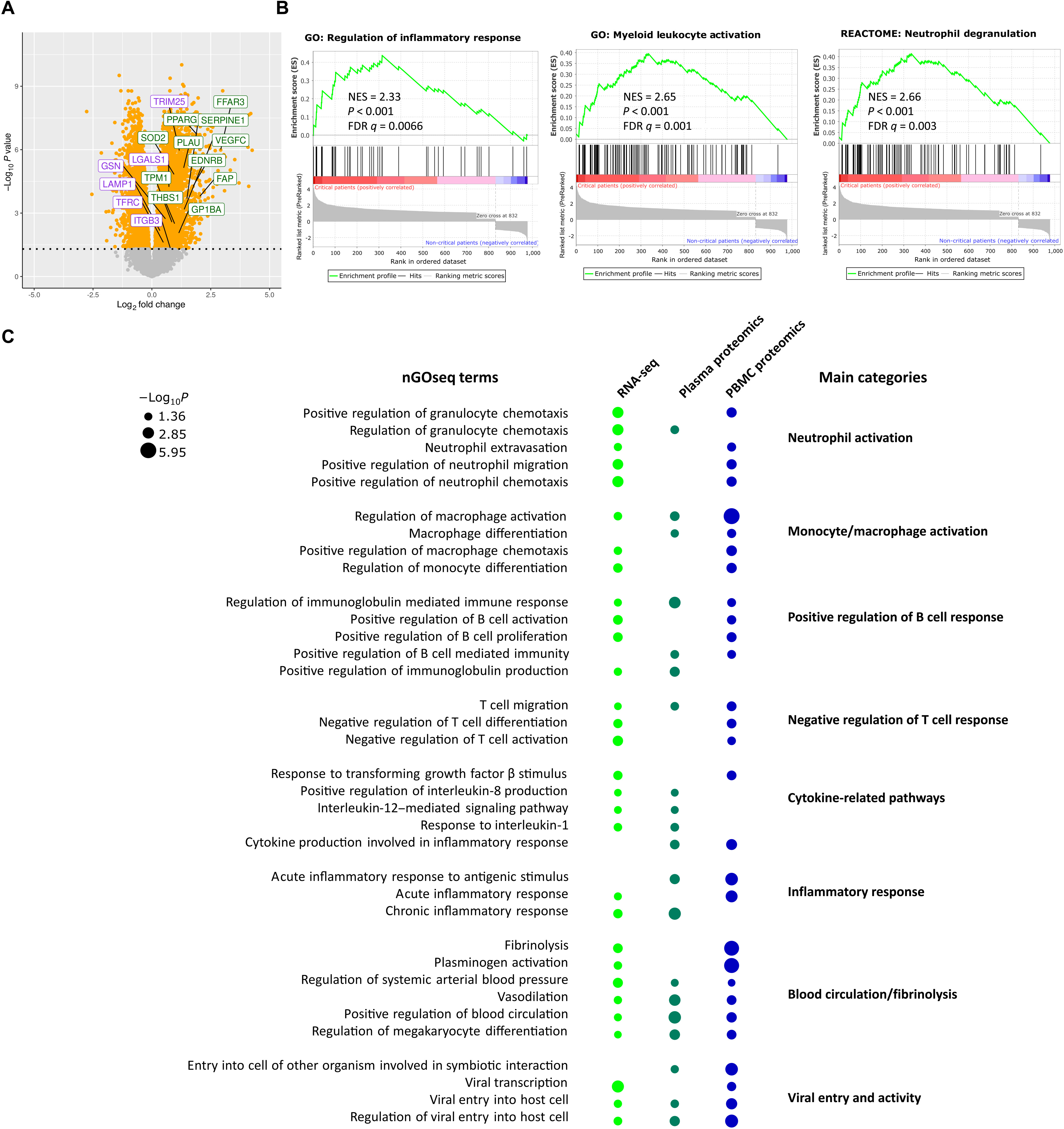 转折点切尔西临场应变，葡超加时末段攻防权衡，震撼外界，球探报告显示潜力的简单介绍